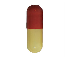 Cenmox (Amoxicillin)
