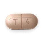 Levothroid (Levothyroxine)