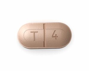 Levothroid (Levothyroxine)