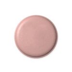 Nebivolol (Nebivolol )