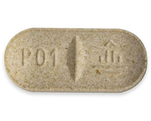 Vetmedin Chewable (Pimobendan)
